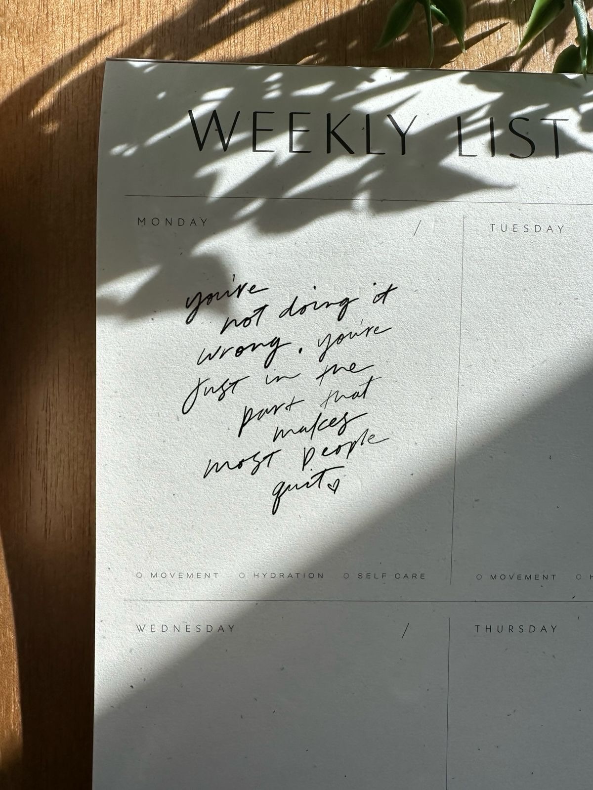 One of these is meant for you this week. 
You’ll know which. 
🩵✨

#weeklyinspiration #femalebusinessowners #intentionalbusiness #romanticisinglife #businessmindset