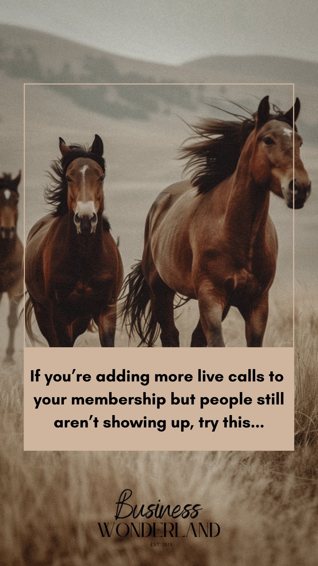 If you’re adding more live calls into your membership but people still are showing up, try this…

Let me know if you are going to try this for your membership, group programmes or course! 

Love you. Mean it. 
Katie x
🩵

#onlinebusinessowner #femaleentrepeneur #membership #communitymanager #membershipcommunity